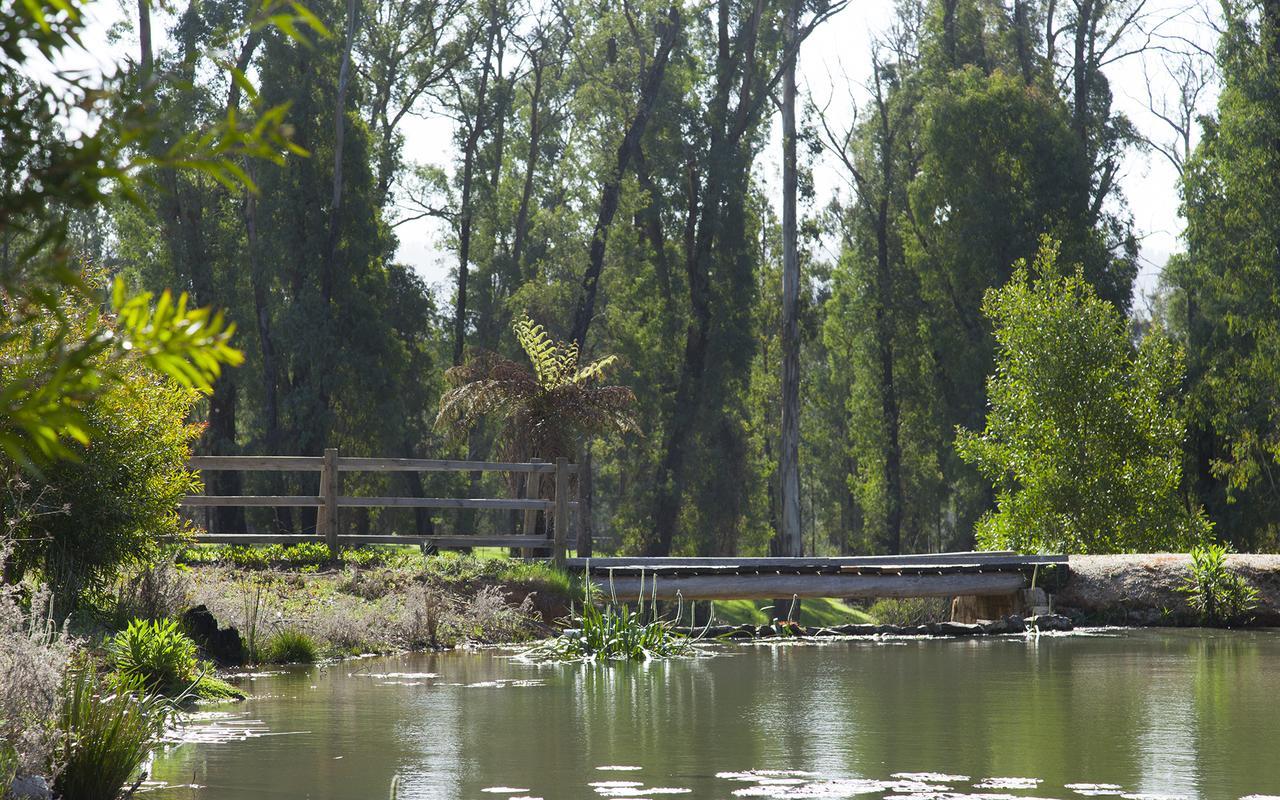 Saladin Lodge Narbethong Екстериор снимка